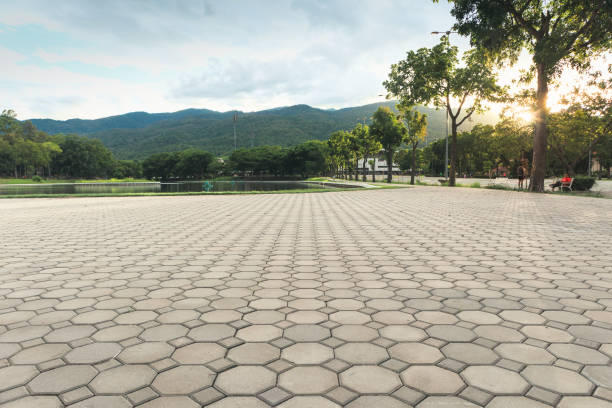 Best Driveway Pavers Installation  in White Knoll, SC